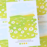 Sunrise Daisy Postcard
